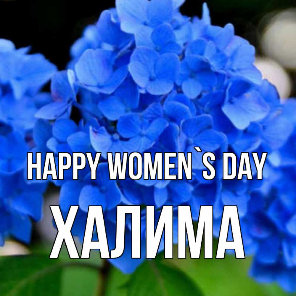 Greetings card с именем, ХАЛИМА happy women`s day синие цветы Greetings with text for free download 